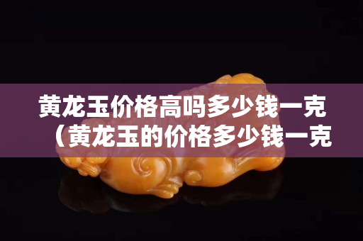 黃龍玉價格高嗎多少錢一克（黃龍玉的價格多少錢一克）