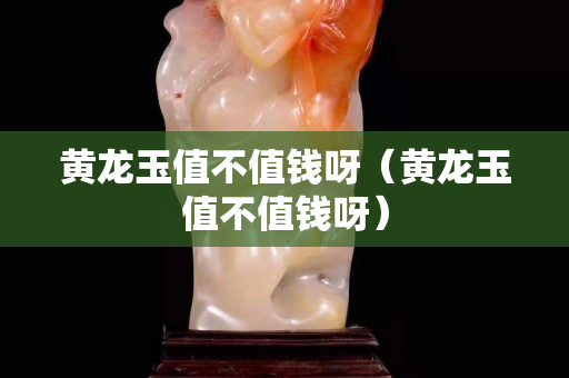 黃龍玉值不值錢呀（黃龍玉值不值錢呀）
