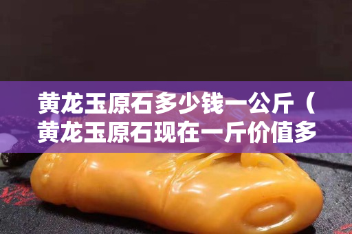 黃龍玉原石多少錢一公斤（黃龍玉原石現在一斤價值多少錢）