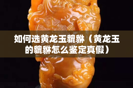 如何選黃龍玉貔貅（黃龍玉的貔貅怎么鑒定真假）