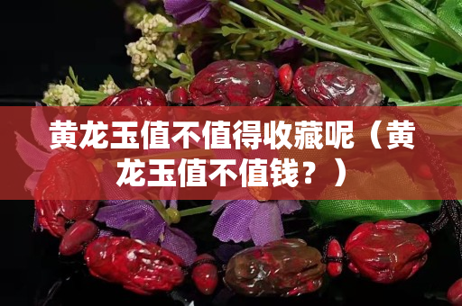 黃龍玉值不值得收藏呢（黃龍玉值不值錢？）