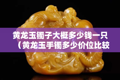 黃龍玉鐲子大概多少錢一只（黃龍玉手鐲多少價位比較合適）