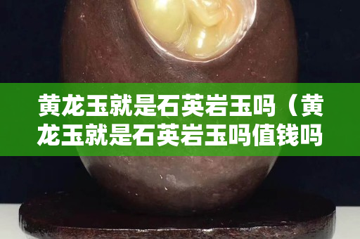 黃龍玉就是石英巖玉嗎（黃龍玉就是石英巖玉嗎值錢嗎）
