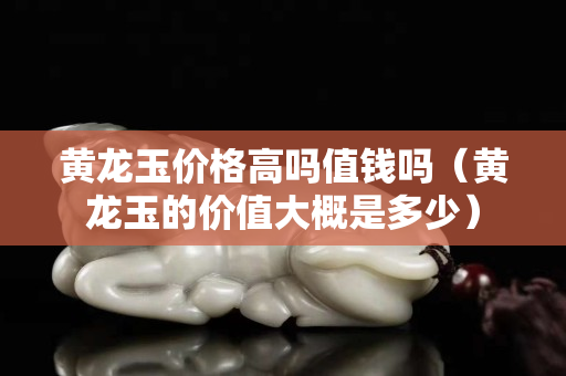黃龍玉價格高嗎值錢嗎（黃龍玉的價值大概是多少）