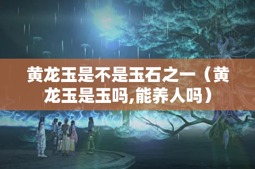黃龍玉是不是玉石之一（黃龍玉是玉嗎,能養(yǎng)人嗎）