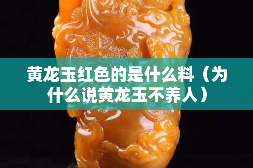 黃龍玉紅色的是什么料（為什么說黃龍玉不養人）