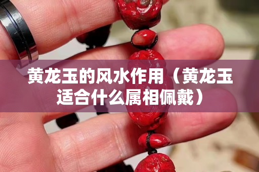 黃龍玉的風(fēng)水作用（黃龍玉適合什么屬相佩戴）