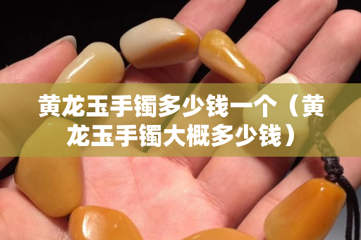 黃龍玉手鐲多少錢一個（黃龍玉手鐲大概多少錢）