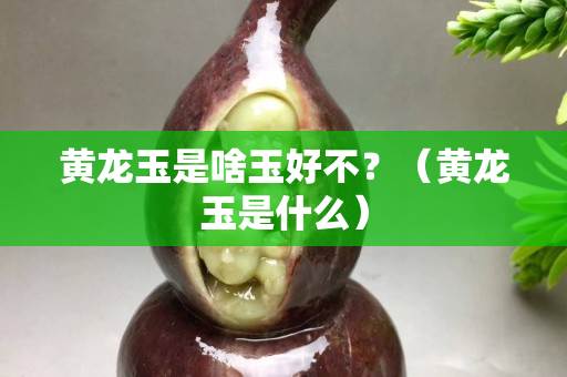 黃龍玉是啥玉好不？（黃龍玉是什么）