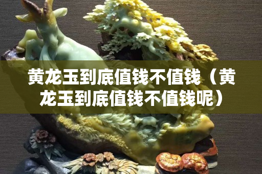 黃龍玉到底值錢不值錢（黃龍玉到底值錢不值錢呢）