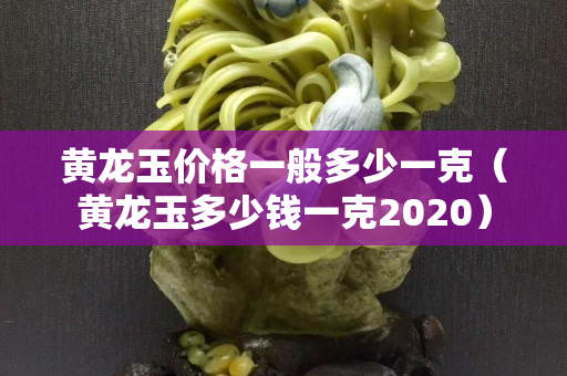 黃龍玉價格一般多少一克（黃龍玉多少錢一克2020）