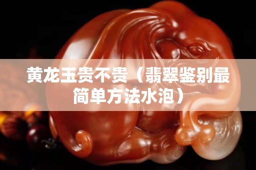黃龍玉貴不貴（翡翠鑒別最簡單方法水泡）