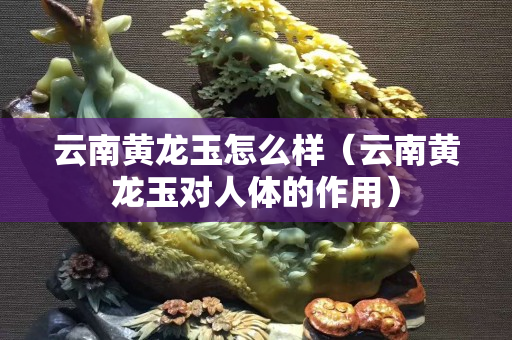 云南黃龍玉怎么樣（云南黃龍玉對人體的作用）