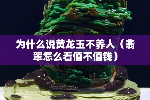 為什么說黃龍玉不養(yǎng)人（翡翠怎么看值不值錢）