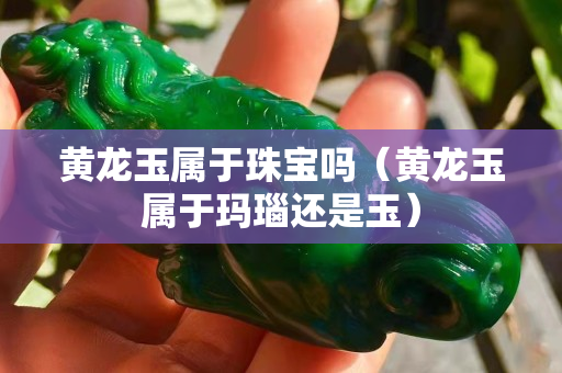 黃龍玉屬于珠寶嗎（黃龍玉屬于瑪瑙還是玉）