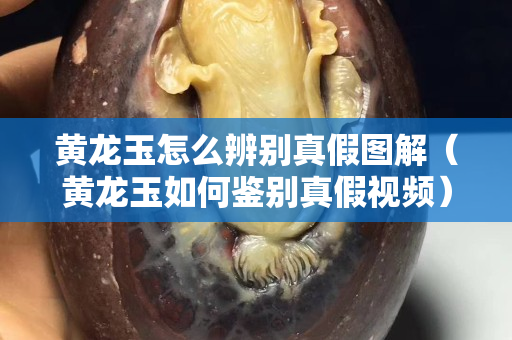 黃龍玉怎么辨別真假圖解（黃龍玉如何鑒別真假視頻）