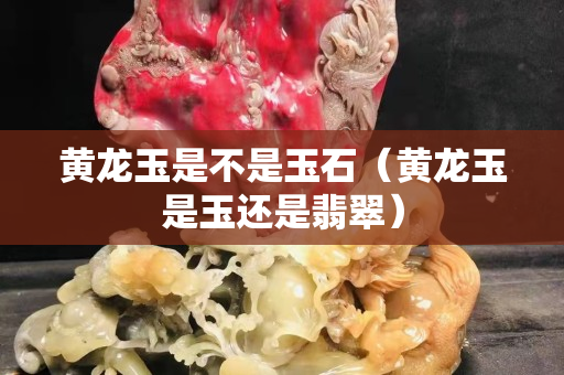 黃龍玉是不是玉石（黃龍玉是玉還是翡翠）