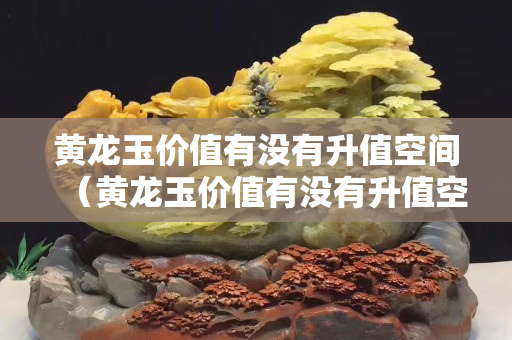 黃龍玉價值有沒有升值空間（黃龍玉價值有沒有升值空間大）