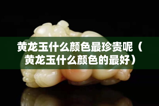 黃龍玉什么顏色最珍貴呢（黃龍玉什么顏色的最好）