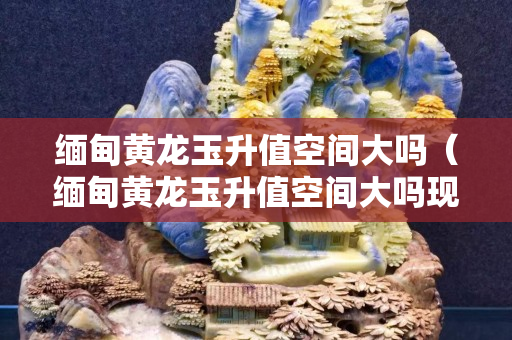 緬甸黃龍玉升值空間大嗎（緬甸黃龍玉升值空間大嗎現在）