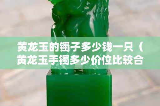 黃龍玉的鐲子多少錢一只（黃龍玉手鐲多少價位比較合適）