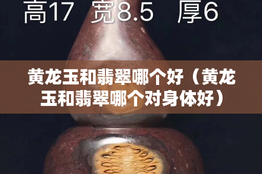 黃龍玉和翡翠哪個好（黃龍玉和翡翠哪個對身體好）