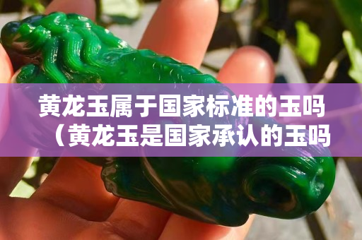 黃龍玉屬于國家標準的玉嗎（黃龍玉是國家承認的玉嗎）