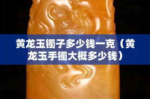 黃龍玉鐲子多少錢一克（黃龍玉手鐲大概多少錢）