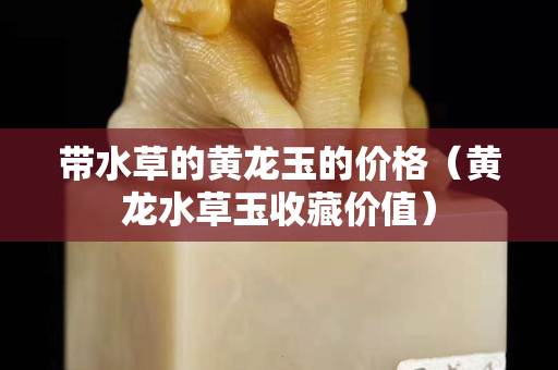 帶水草的黃龍玉的價格（黃龍水草玉收藏價值）