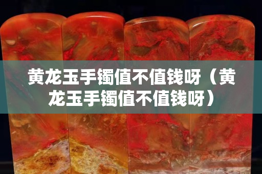 黃龍玉手鐲值不值錢(qián)呀（黃龍玉手鐲值不值錢(qián)呀）