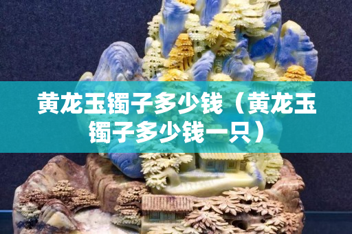 黃龍玉鐲子多少錢（黃龍玉鐲子多少錢一只）