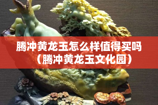 騰沖黃龍玉怎么樣值得買嗎（騰沖黃龍玉文化園）