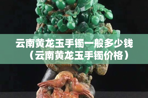 云南黃龍玉手鐲一般多少錢（云南黃龍玉手鐲價格）