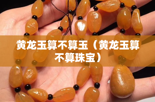 黃龍玉算不算玉（黃龍玉算不算珠寶）