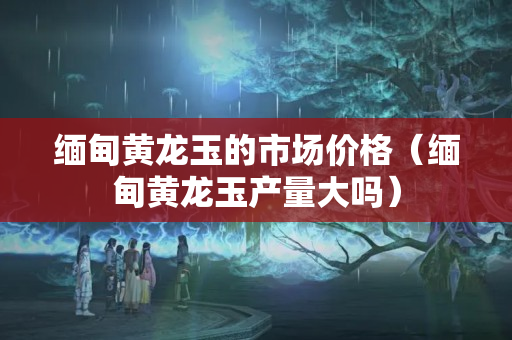 緬甸黃龍玉的市場價格（緬甸黃龍玉產量大嗎）