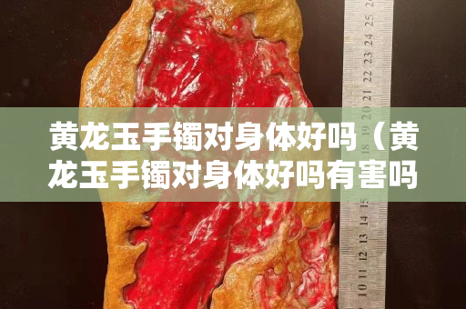 黃龍玉手鐲對(duì)身體好嗎（黃龍玉手鐲對(duì)身體好嗎有害嗎）