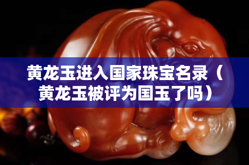 黃龍玉進入國家珠寶名錄（黃龍玉被評為國玉了嗎）