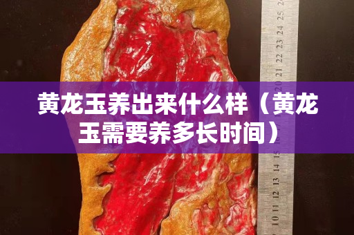 黃龍玉養出來什么樣（黃龍玉需要養多長時間）