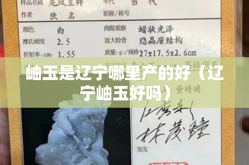 岫玉是遼寧哪里產的好（遼寧岫玉好嗎）