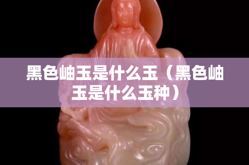 黑色岫玉是什么玉（黑色岫玉是什么玉種）