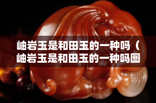 岫巖玉是和田玉的一種嗎（岫巖玉是和田玉的一種嗎圖片）