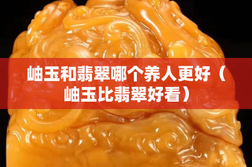 岫玉和翡翠哪個養人更好（岫玉比翡翠好看）