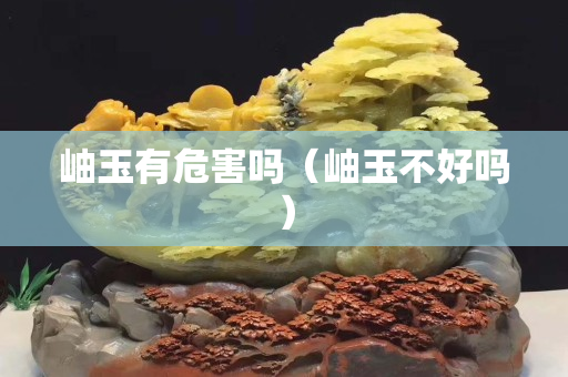 岫玉有危害嗎（岫玉不好嗎）