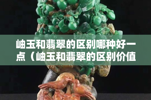 岫玉和翡翠的區(qū)別哪種好一點(diǎn)（岫玉和翡翠的區(qū)別價(jià)值）