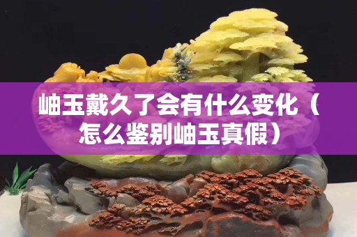 岫玉戴久了會有什么變化（怎么鑒別岫玉真假）