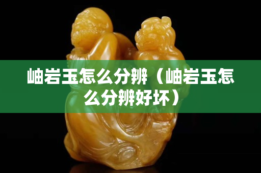 岫巖玉怎么分辨（岫巖玉怎么分辨好壞）