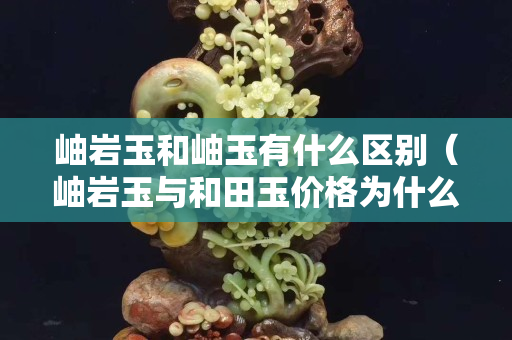 岫巖玉和岫玉有什么區(qū)別（岫巖玉與和田玉價(jià)格為什么差很多）
