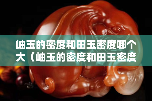 岫玉的密度和田玉密度哪個大（岫玉的密度和田玉密度哪個大些）