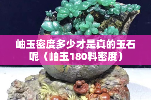 岫玉密度多少才是真的玉石呢（岫玉180料密度）