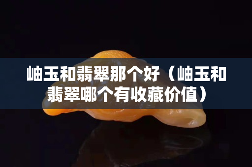 岫玉和翡翠那個好（岫玉和翡翠哪個有收藏價值）